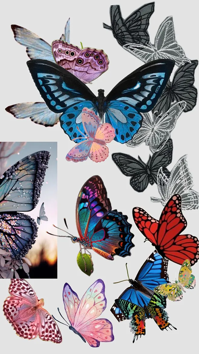 a group of different colored butterflies flying in the same direction ...