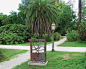 Orto Botanico : My graduating project from Instituto Europeo di Design‘s (IED) Master of Visual Communication I completed a design application to Giardino Orto Botanico di Roma, part of the Università di Sapienza‘s biology department. The scope of the pro