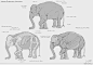 Ungulate Studies, Sam Santala : These studies are of modern day ungulates of various varieties. Followed by a combination of the two to help solidify that knowledge.

Illustration and gesture poses have been added to give the Mooselephant some definitive