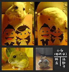 麦丽素  的插画 家宠拟人