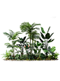 绿植室内楼梯下大型棕葵热带雨林风景观植物造景橱窗装饰盆景