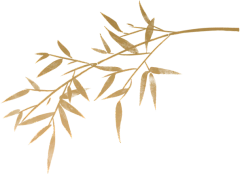 媛爱龙猫采集到国潮风-png