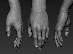 六萬采集到Anatomy Hands & Feet