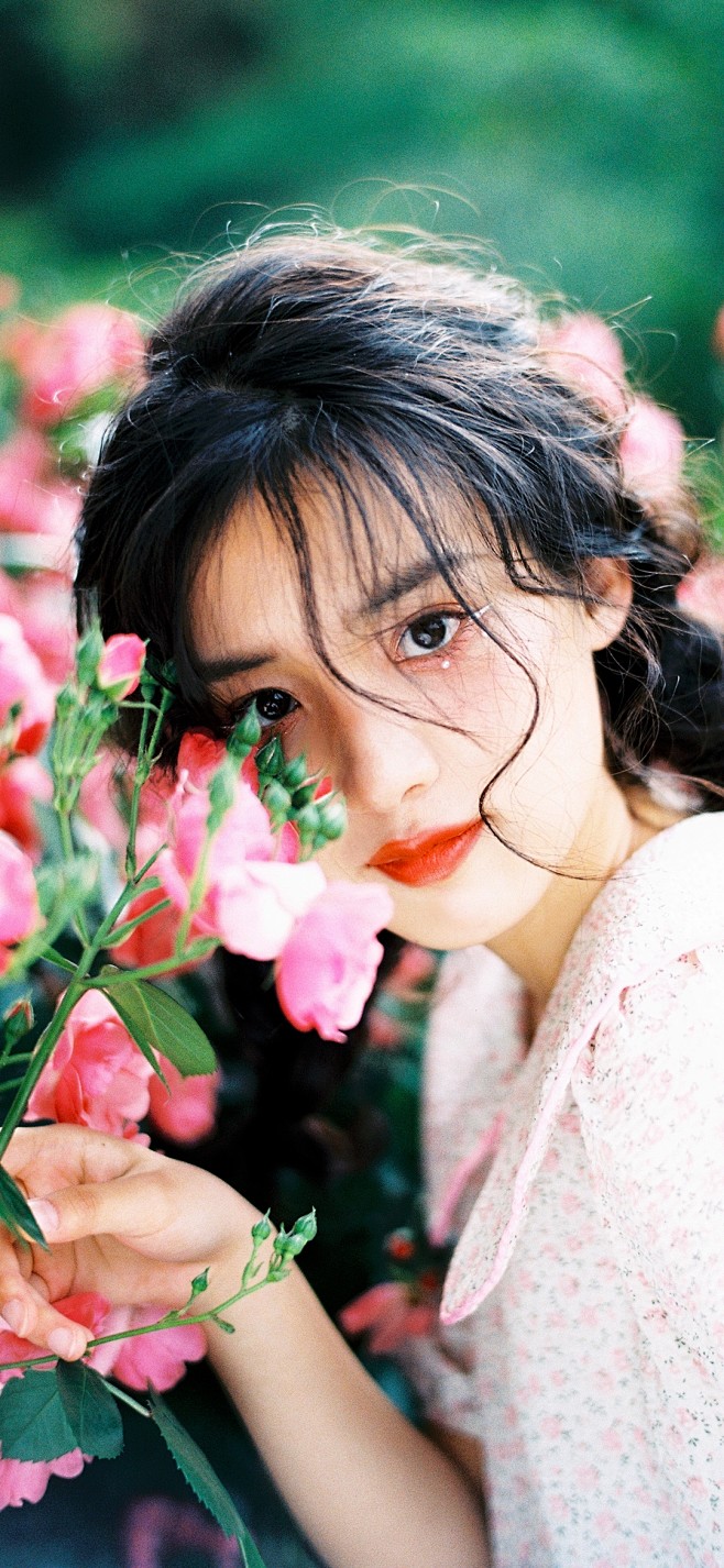 梦花录