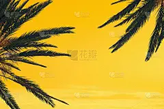 剪影热带棕榈树与阳光在日落天空。副本的空间。暑假和旅游概念。