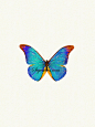 SIGVETERS 西格的思维 手绘水彩水粉插画 动物系列 蝴蝶蓝萤