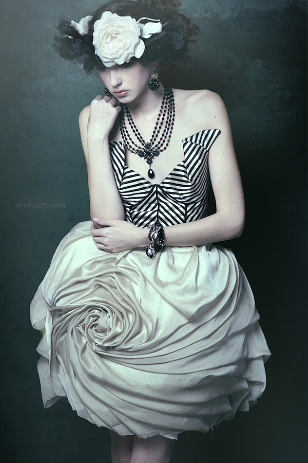 Emily Soto《The Paint...