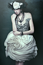 Emily Soto《The Painted Lady》