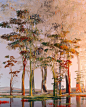 ScarceAbundance_AnOpportunityGrown.jpg