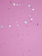 GIFs images