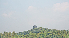 ELVIS易采集到御用大图