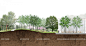 Mikyoung Kim Design - Guilford High SchoolMikyoung Kim Design - Landscape Architecture, Urban Planning, Site Art