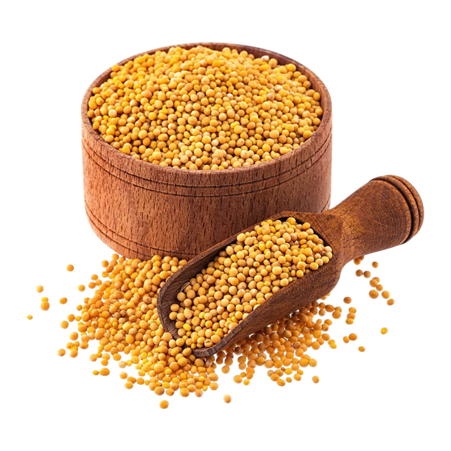 Mustard Seeds 866 