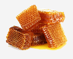 KONGSHAN采集到蜂蜜
