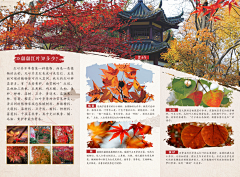 沈孤风采集到2d