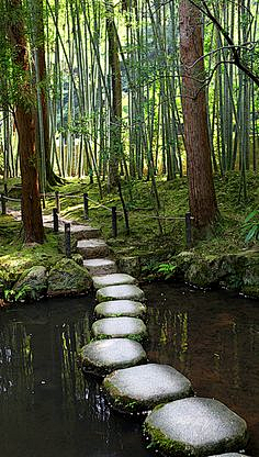 狐狸芣湜岆╮采集到曲径通幽