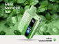 VECEE VERCE 8000 PUFFS DISPOSABLE VAPE 5% NICOTINE 12ML - 5CT