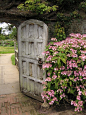 Wooden dutch doors