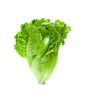 大利生菜-1