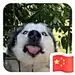 明天～你好