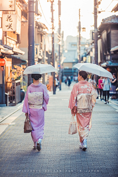 断木成林采集到游记