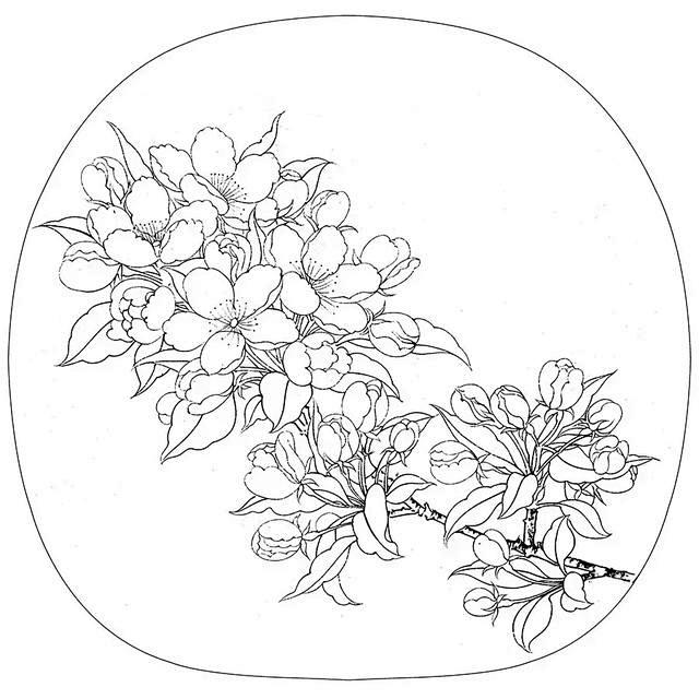 白描花卉圆面