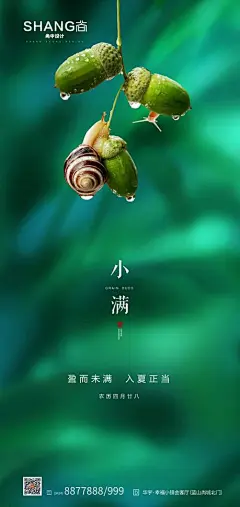 小满节气微信系列高端大气海报-志设网-zs9.com