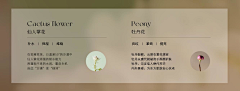 巴拉拉小魔仙的主体采集到【平面】版式/形式感