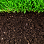 grass-soil