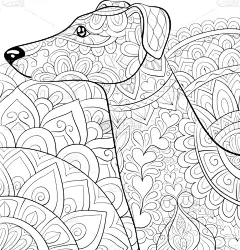 可爱的,狗,图像,成年的,华丽的,动物,洋葱花,乱画,着色,冥想