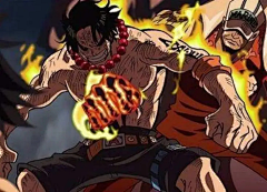 黑色熌采集到one piece