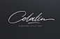 一款洒脱自由手写英文字体 Colatin Script– 设计小咖
