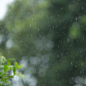 rain drop falling freshness with green bokeh nature, abstract blur background
