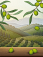 橄榄树丛 叶子果实 精挑细选 橄榄油海报设计AI cb046036037