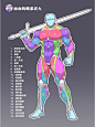 人体肌肉分布图15/100
