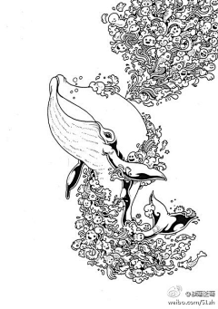 Sean_7012采集到Kerby Rosanes