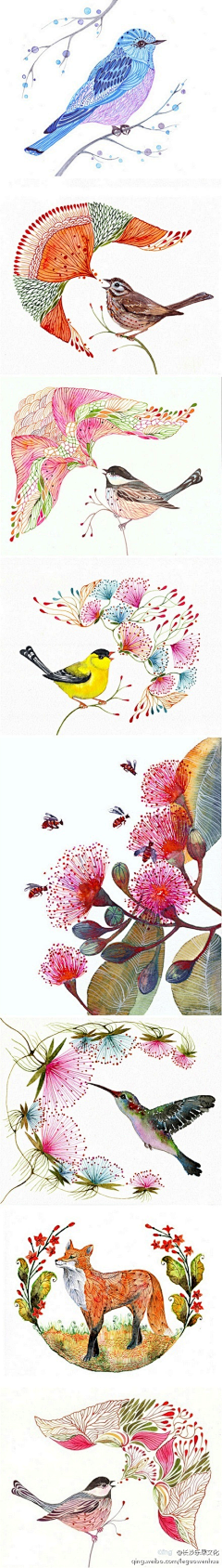qiu丘丘采集到商业插画设计