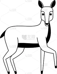 鹿,野外动物,黑白图片,分离着色,可爱的,白色,宠物,自然,动物园,热带雨林