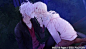 【DIABOLIK LOVERS】————————〖图〗_魔鬼恋人吧_百度贴吧