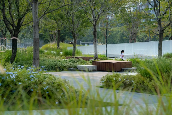 韧性的城市公共空间框架 | 东莞松山湖中...
