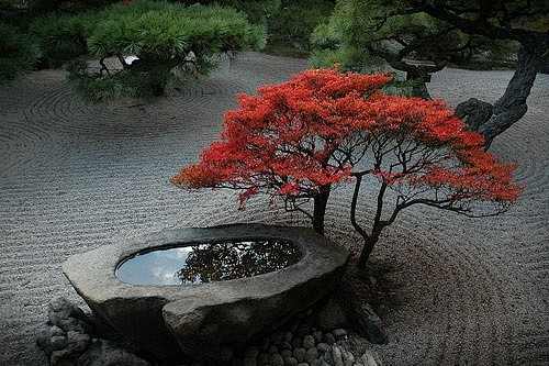 Japanese Gardens - N...