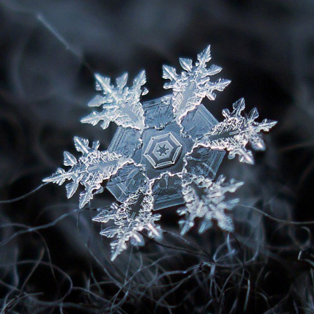 来看看微距镜头下的雪花 ，这是大自然送给...