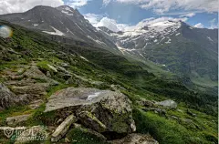 自然风光/树海奇观/气势山海  绿色主题 场景原画绘制参考 摄影高清图集