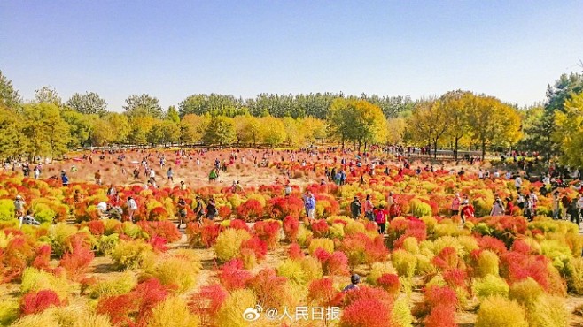 微博 – 随时随地发现新鲜事