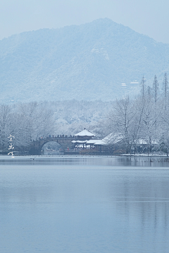 烟雨兰花采集到水墨意境