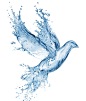 png透明背景素材#水滴 水形状 创意水形状鸟  水素材
@冒险家的旅程か★