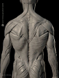 (986) Pinterest