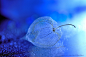 500px / Blue syndrome〜Storage of winter by Lafugue Logos