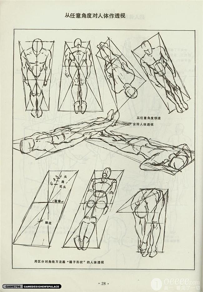 [转帖]绘画中人的五官比例标准+速写素描...