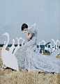 Tim Walker Photography